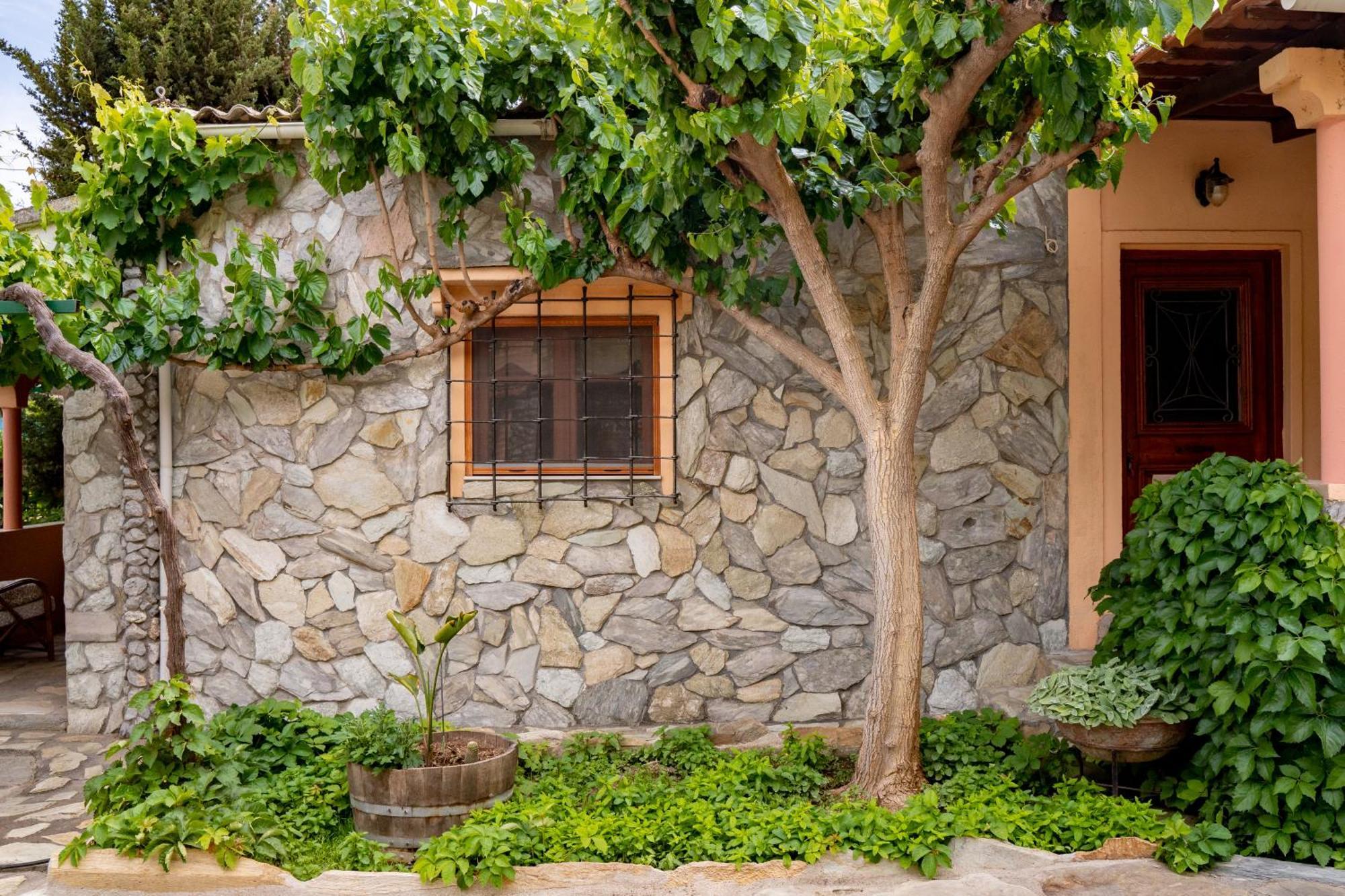 Dm Elegant And Charming Villa Foinikiá Exteriér fotografie